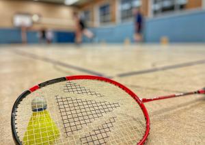 Bild vom Badmintonschläger und einem Federball